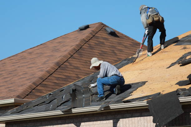 Best Skylight Installation and Repair  in Alvarado, TX